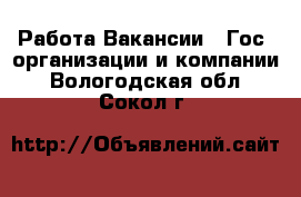 Работа Вакансии - Гос. организации и компании. Вологодская обл.,Сокол г.